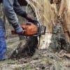 Hire an Arborist, Oakville, ON