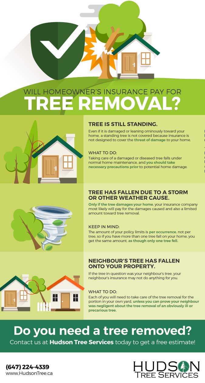 Will My Homeowners Insurance Policy Pay for Tree Removal?