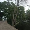 Repairing Storm Damaged Trees