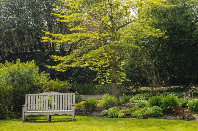 Tree services are available for many different things