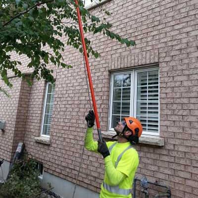 Tree Pruning