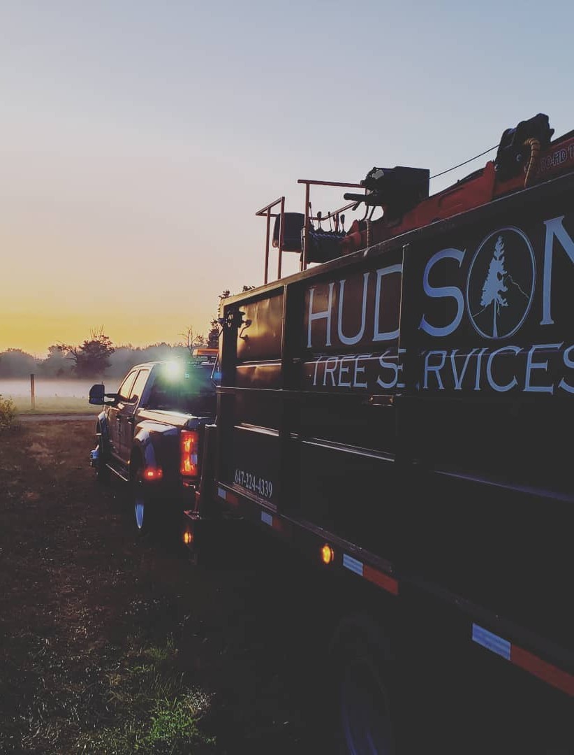 70456284_2399775090301535_7499194880875298816_o (4) Hudson Tree Services Canada