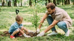 Everything You Need to Know About Tree Planting