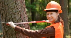 Turn to Us for Quality Tree Services