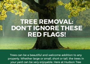 Tree Removal: Don’t Ignore These Red Flags! [infographic]