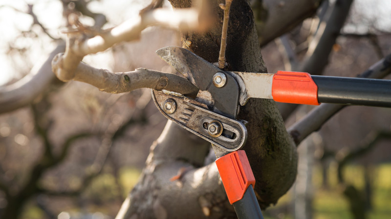 Popular Pruning Methods