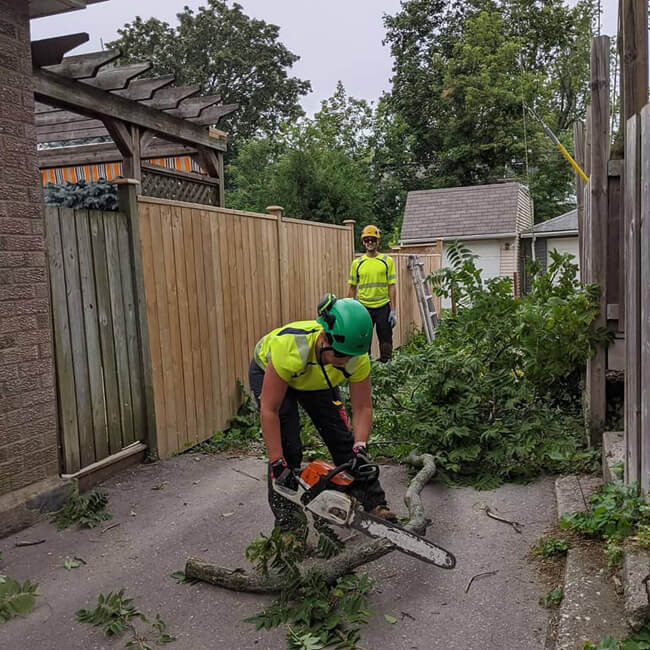 Tree Cutting Company