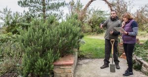 4 Ways a Certified Arborist Consultation Can Help You and Your Property