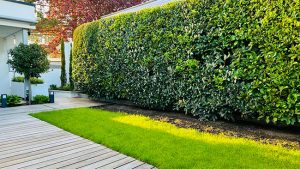 Beyond Curb Appeal: 4 Ways Shrub Hedging Keeps Your Landscaping Healthy