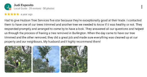 Customer Review